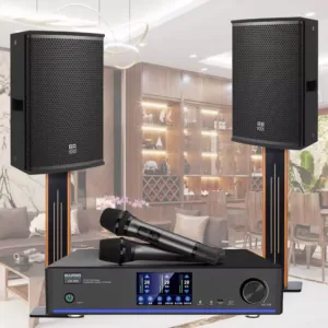 Loa Badoosound Bt-12, Combo Gia Dinh